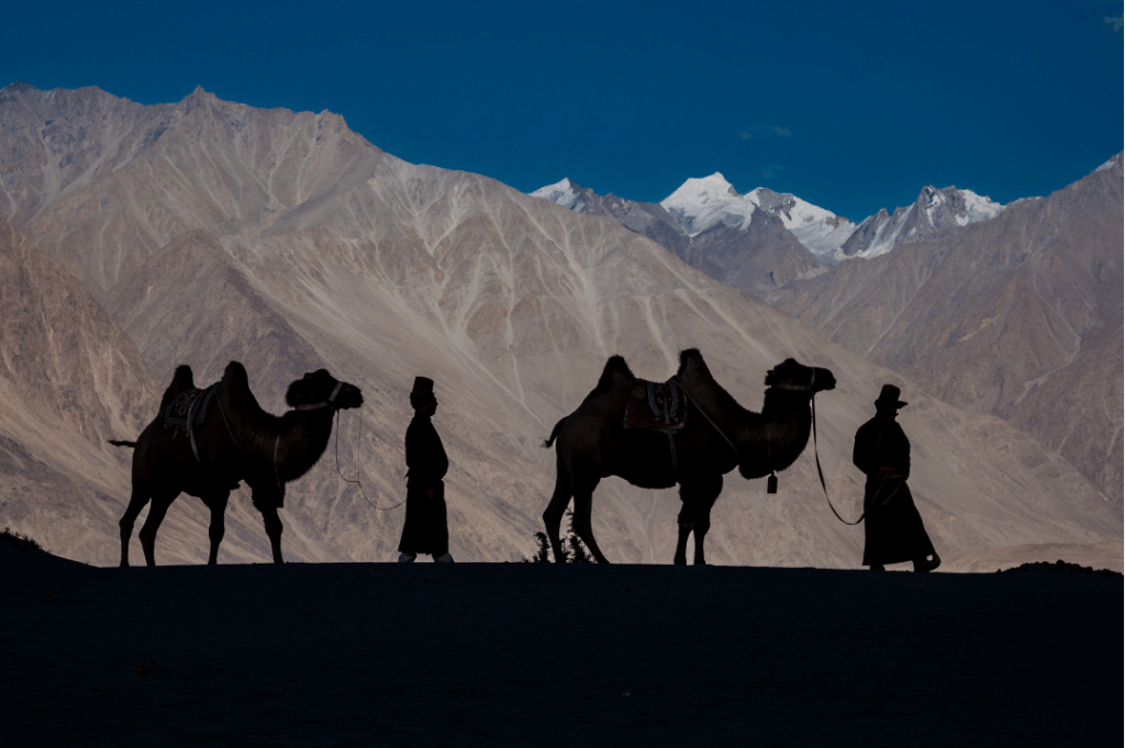 inde ladakh